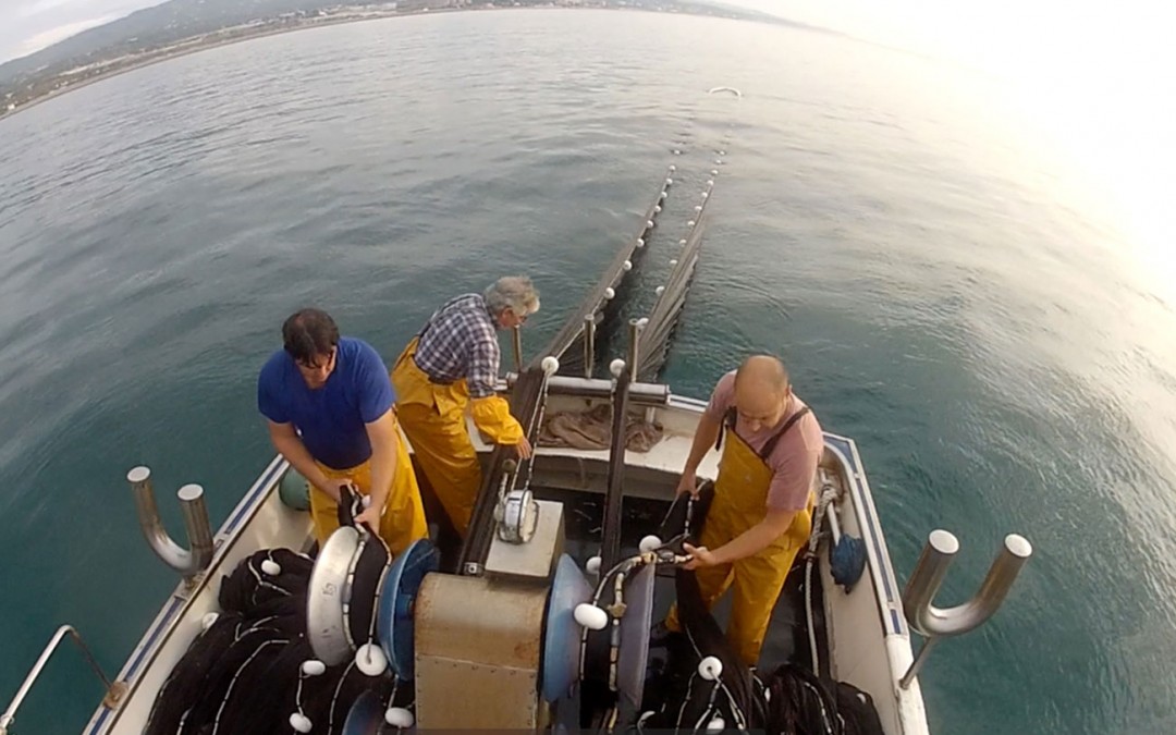 A sustainable sandeel fishery in the Mediterranean.