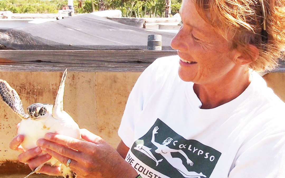 Cunningham with a rescued sea turtle in the Turks and Caicos Islands.
